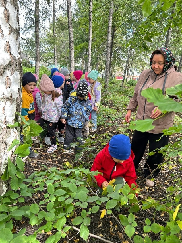 Кĕрхи çутçанталăка сăнанă