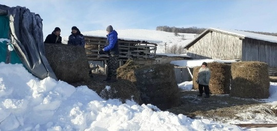 Шкул ачисем боец амăшне пулăшнă