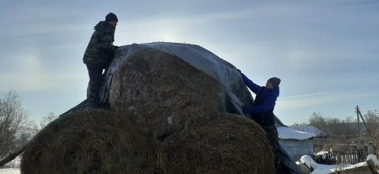 Шкул ачисем боец амăшне пулăшнă