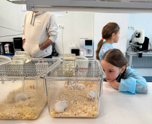 Школьникам показали прорывные разработки Межвузовского кампуса Уфы