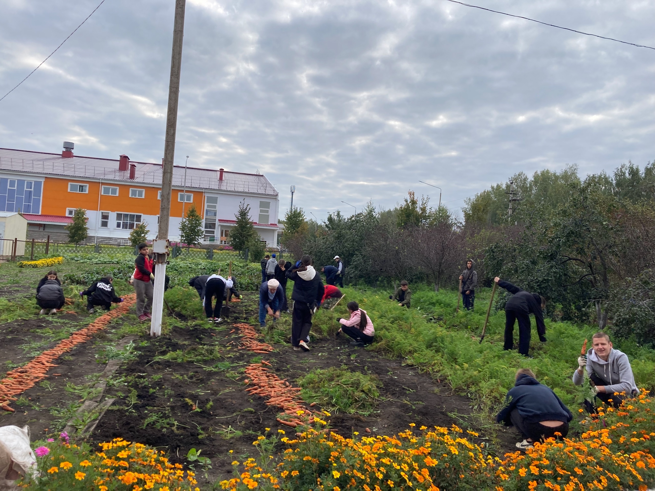 Пахча-çимĕç тухăçĕ питĕ пуян