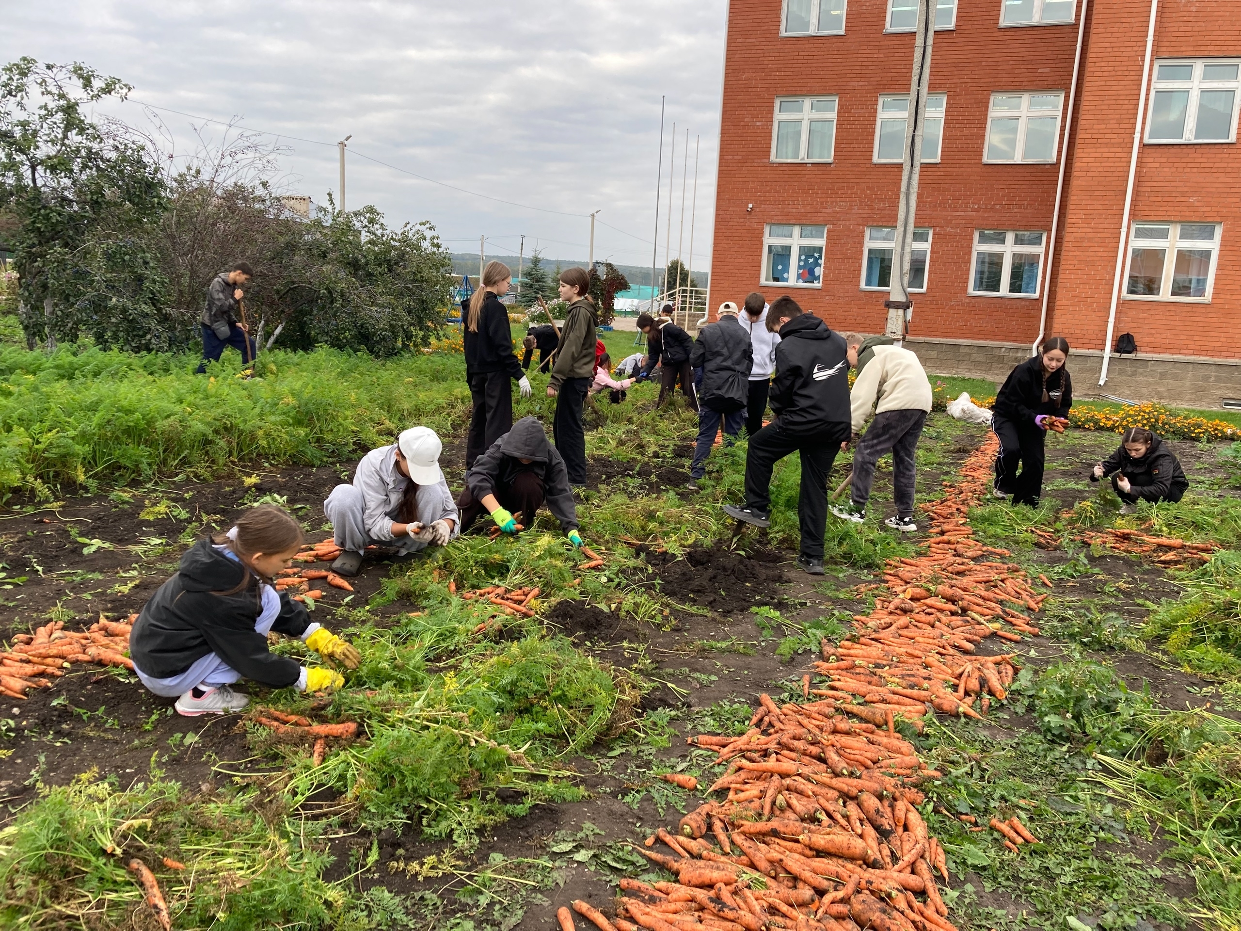Пахча-çимĕç тухăçĕ питĕ пуян