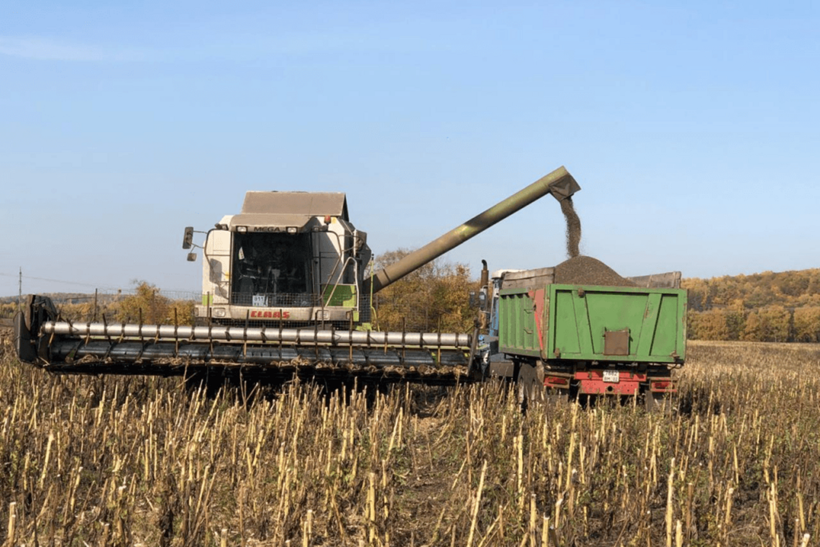 Пушкăрт аграрийĕсем 210 пин тонна ытла хĕвелçаврăнăш вăрлăхĕ пухса кĕртнĕ