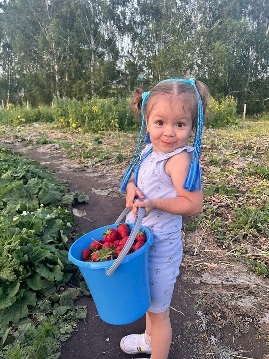 «Гномики» ушкӑнран улма-çырла «парачӗ»!