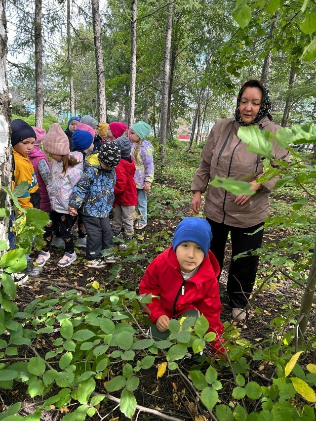 Кĕрхи çутçанталăка сăнанă
