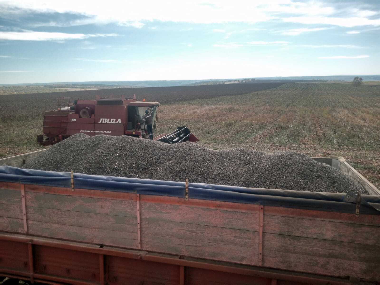 Килӗштерсе ӗҫлесе пысӑк кӑтартусем тăваççĕ