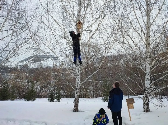 «Шӑнкӑрчсем валли çурт» акци