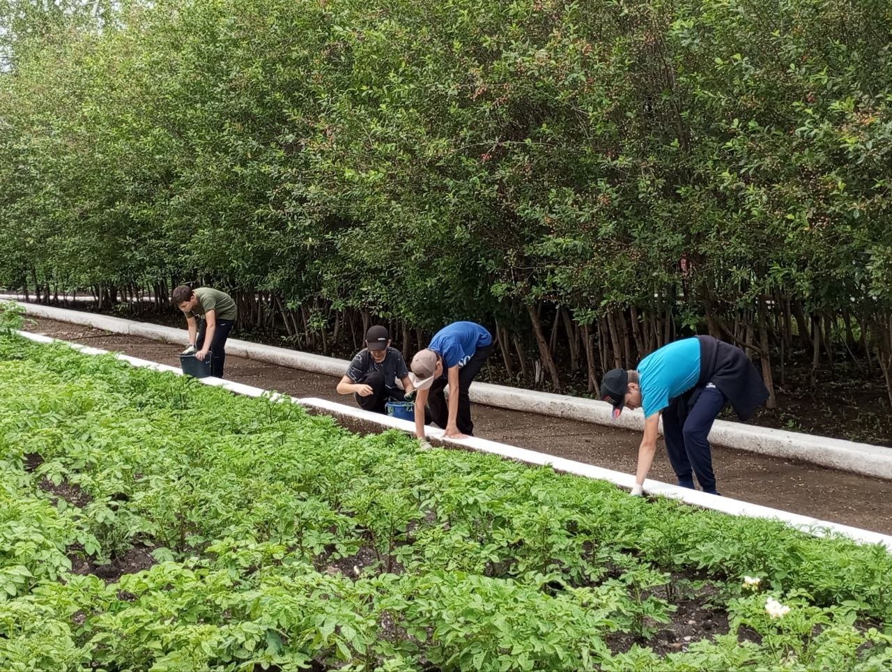 Экологи кунӗ: «Çутçанталӑка упрӑр!»