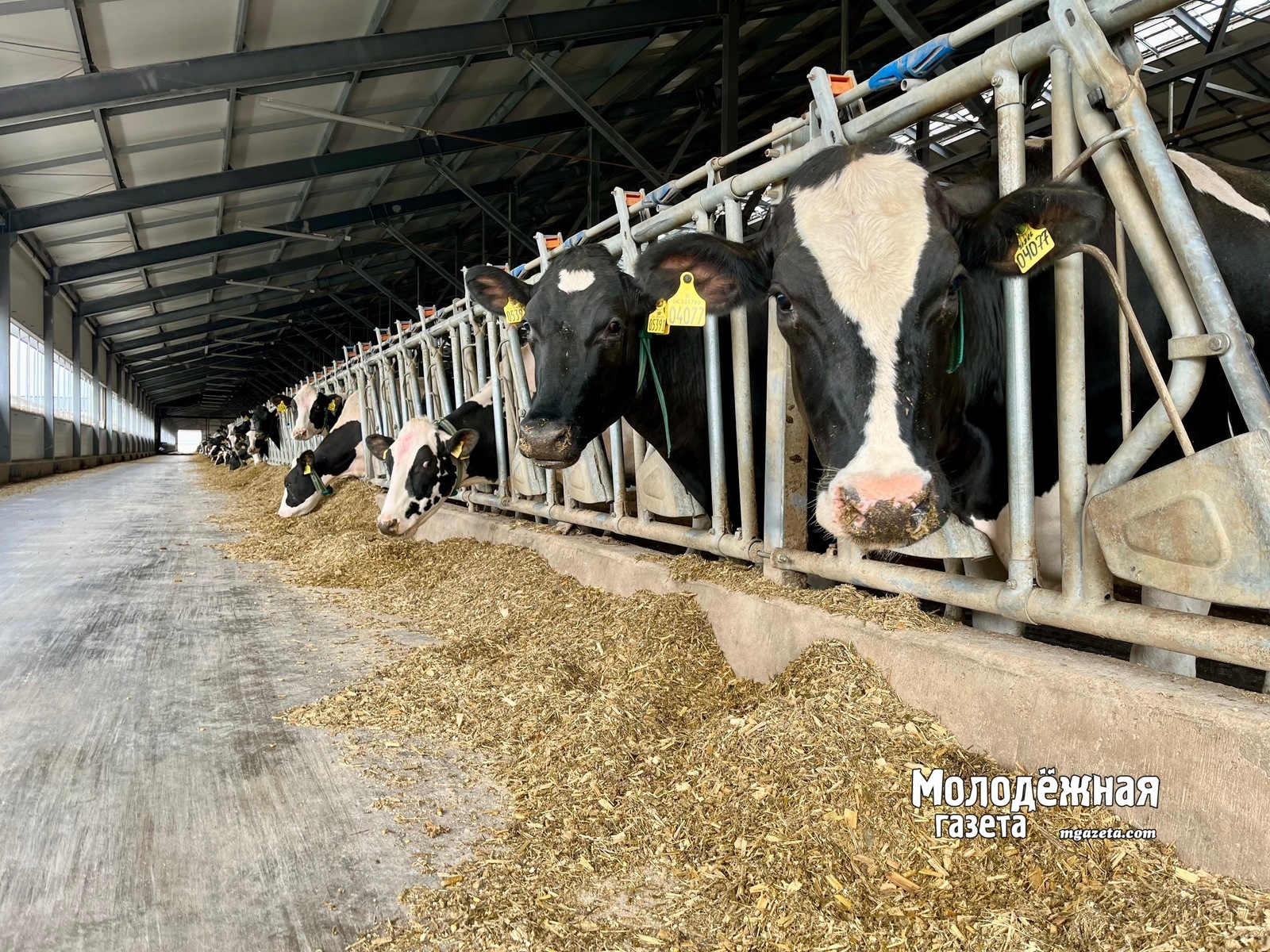 Пушкӑрт агропромӗ ҫулталӑкра 530 пин тонна ытла продукцие 35 ҫӗршыва ӑсатнӑ