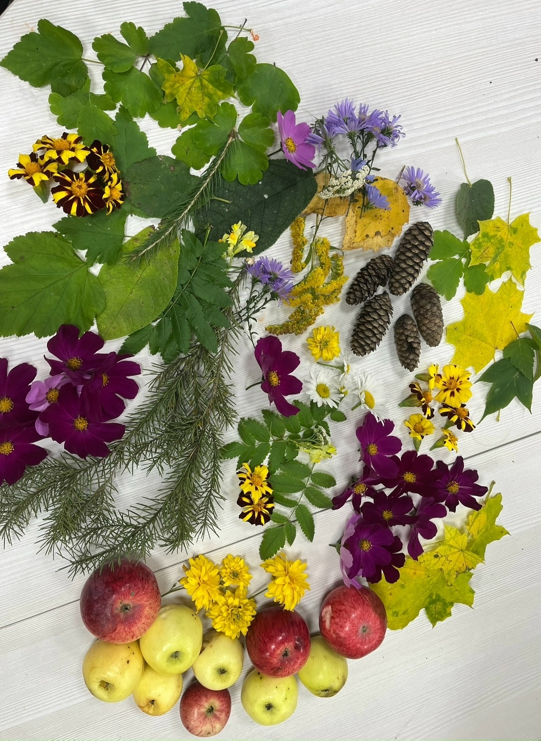 Ситекпуçĕнчи библиотека эко-ҫулҫӳревĕ йĕркеленĕ