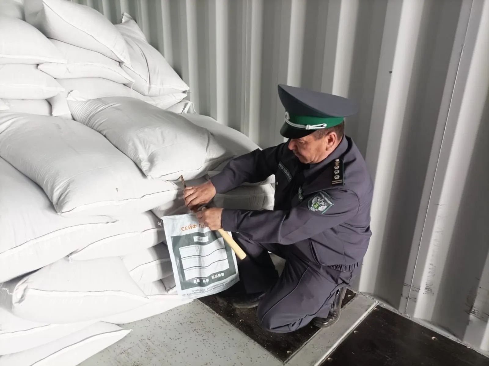 Пушкӑртстан Китая пӑрҫа ҫитерӗ