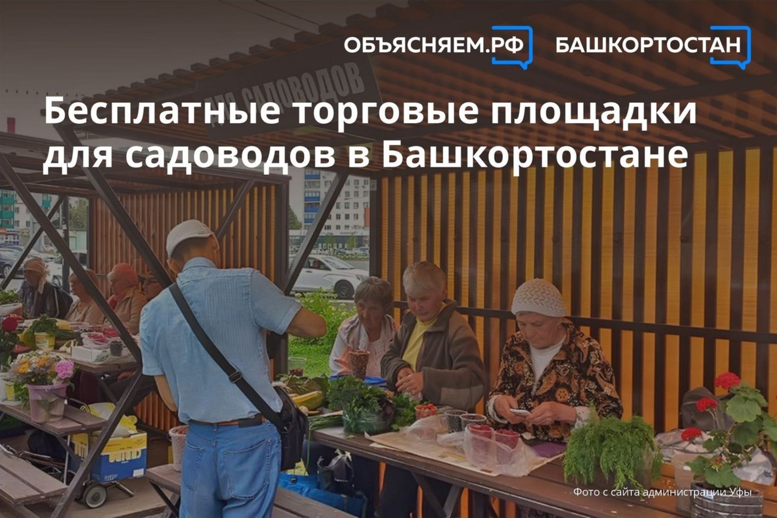 О бесплатных торговых площадках для садоводов в Башкортостане