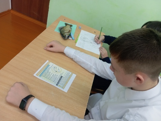 Пӗтӗм Раҫҫейри наркотика хирӗҫ кӗрешекен «Таса ӑру-2025» акци