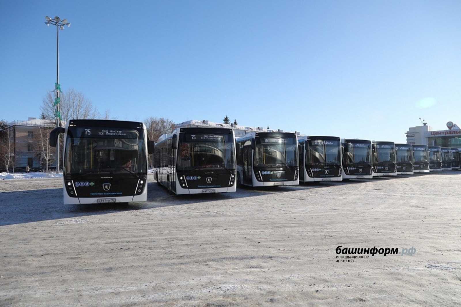 Раҫҫей регионӗсен автобус паркне икӗ ҫул хушшинче 4130 ҫӗнӗ машина пуянлатать