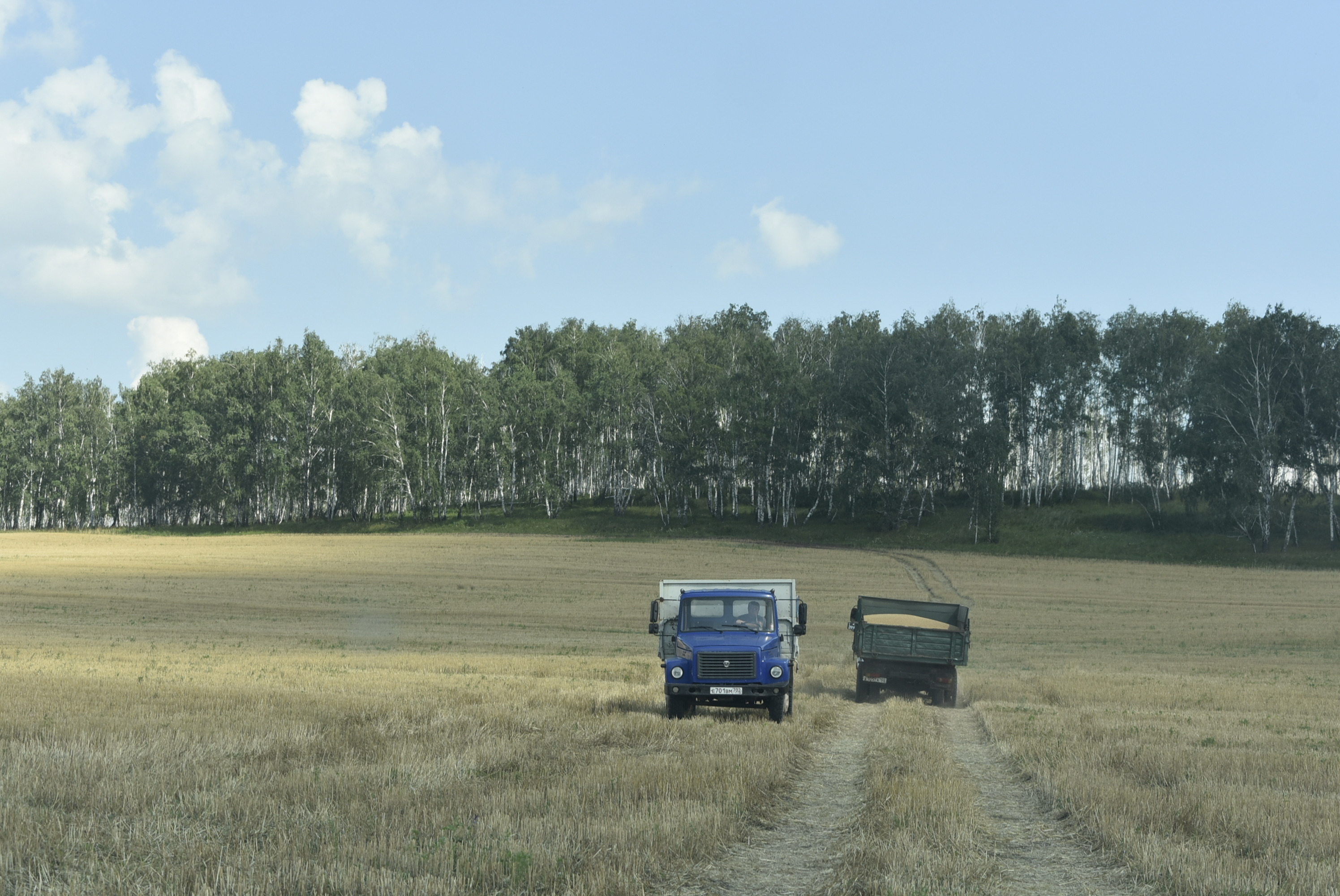 Лайӑх тухӑҫ савӑнтарать