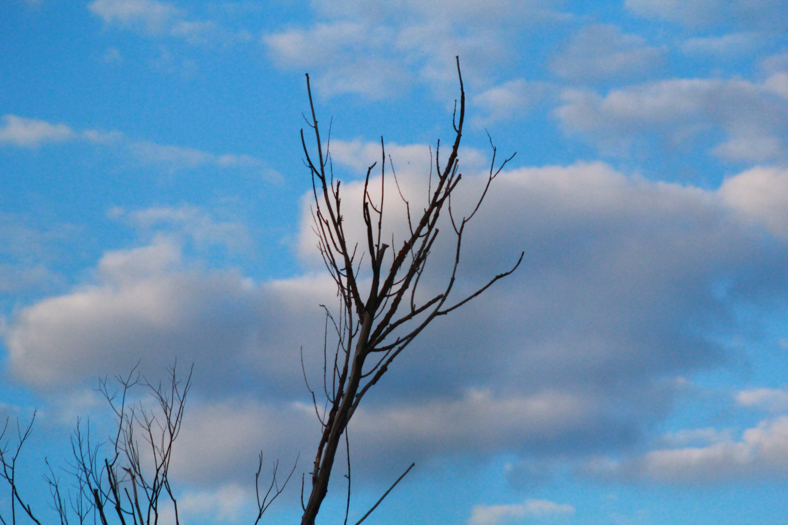 Чарӑнса тӑр пӗр саманта...
