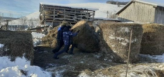 Шкул ачисем боец амăшне пулăшнă
