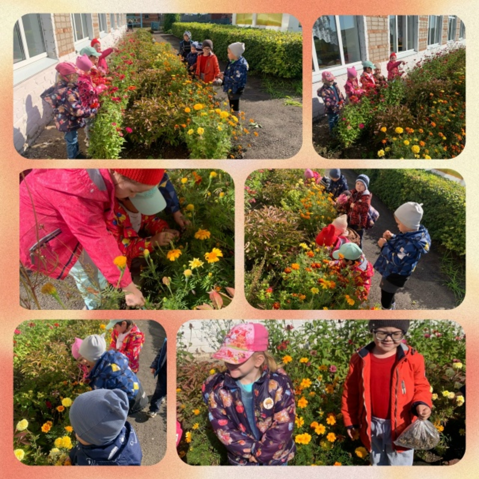 Пишпÿлекри «Журавушка» ача сачӗн пĕчĕк тӗпчевҫисем чечек вӑрлӑхĕсем пухнă