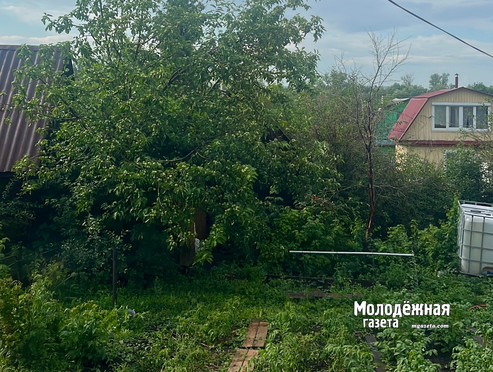 Пушкӑртстанра пурӑнакана 33 килограмм наркотикшӑн суд тӑвӗҫ