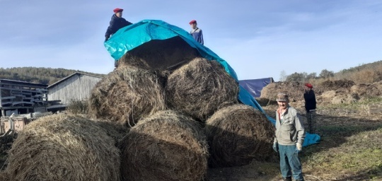 Хушăлка юнармеецĕсем СВОна хутшăнаканăн амăшне пулăшнă