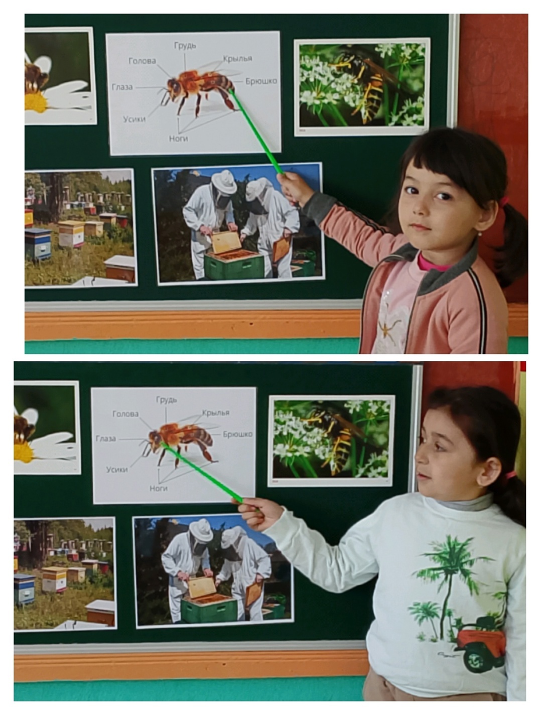 Ача садĕнче пыл хурчĕ кунне халалланӑ тематика кунӗ иртнӗ