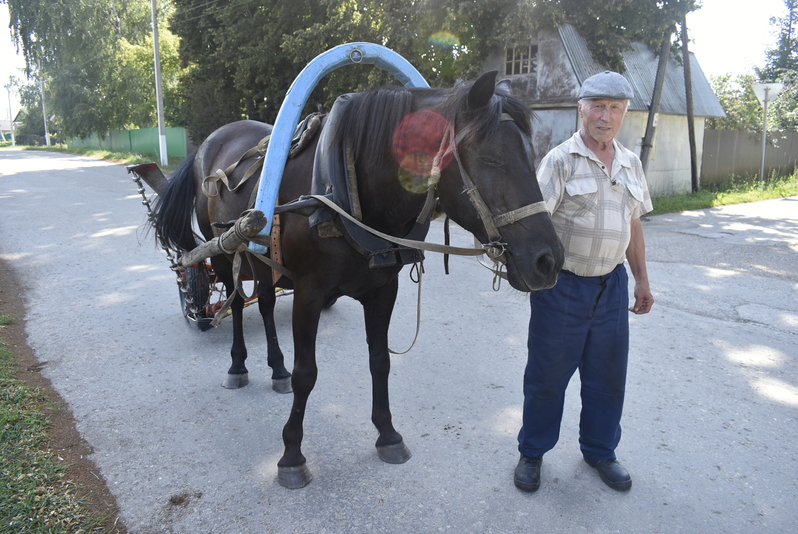 Мӗн ачаран лашасене юратнă