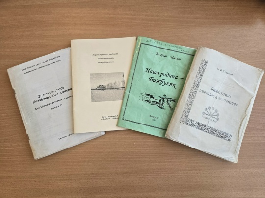 Пишпӳлекри ача-пӑча библиотеки литература программи ирттернӗ