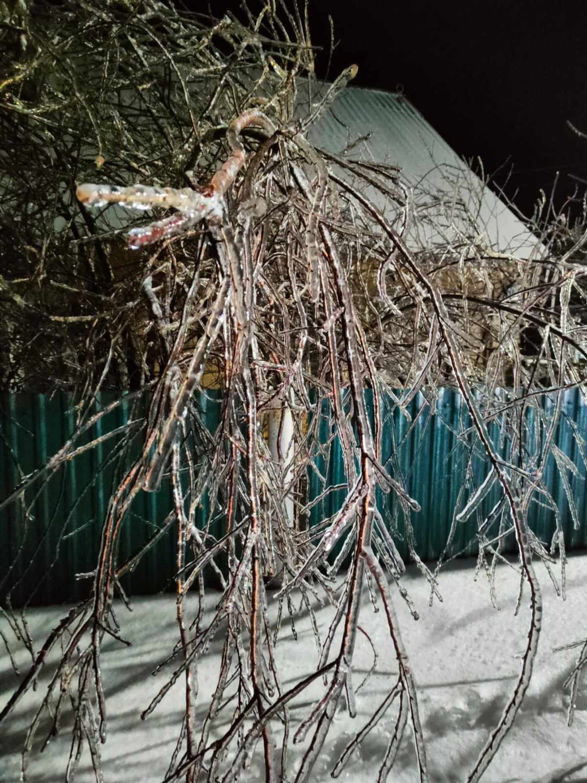 Нацпроект шайӗнче 2025 ҫулта Пушкӑртри 26 предприниматель пулӑшу илнӗ