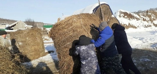 Шкул ачисем боец амăшне пулăшнă