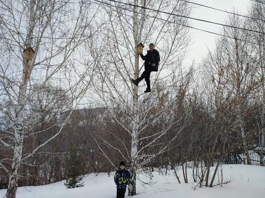 «Шӑнкӑрчсем валли çурт» акци