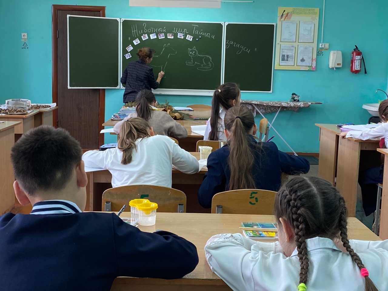 «Чӗрчун тӗнчи: Вӑрттӑнлӑхсемпе тупмалли юмахсем» викторина