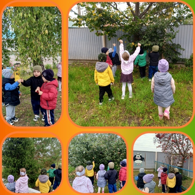 Ача садĕнче вăрмана халалланă кун иртнĕ