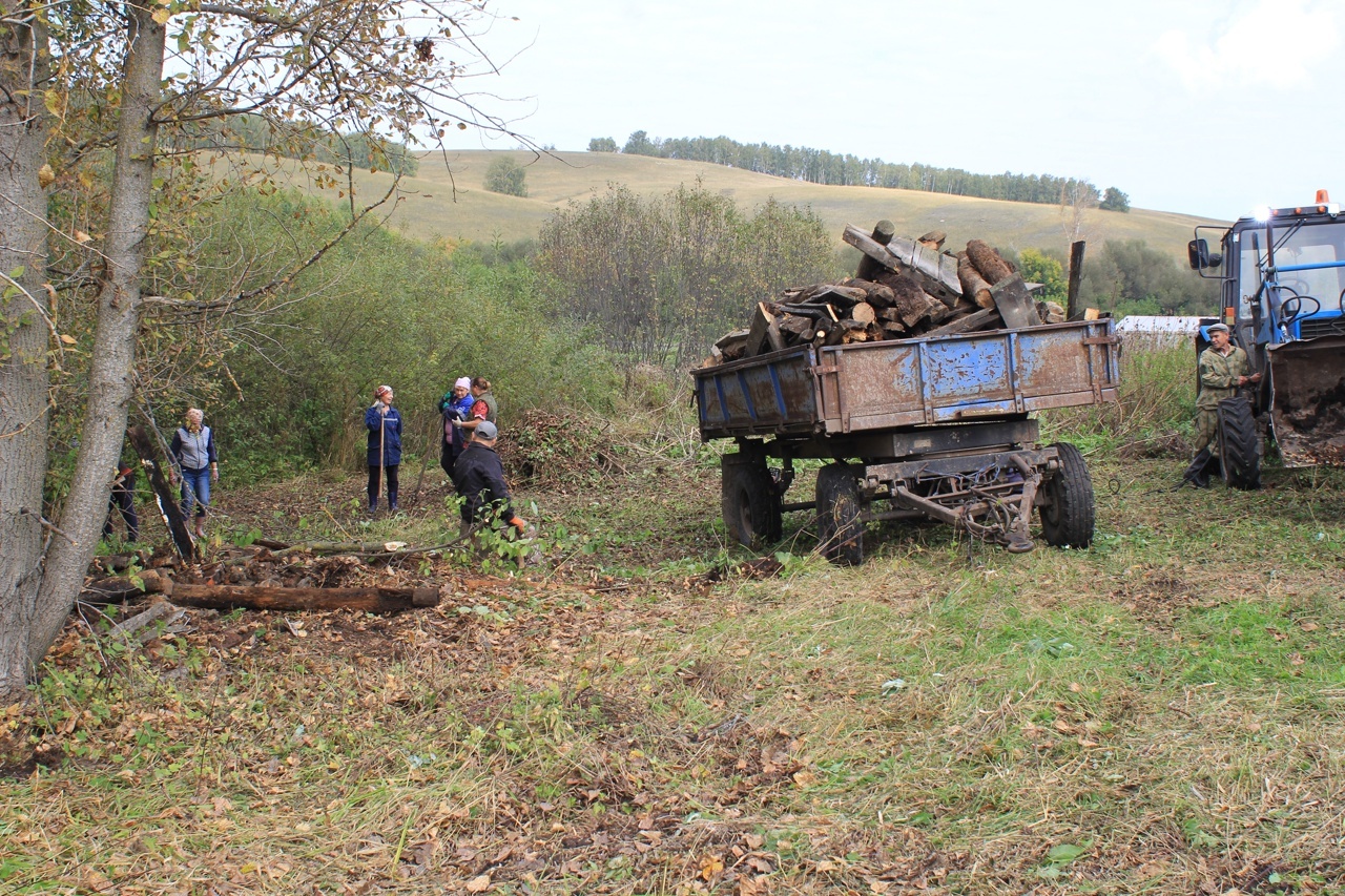 Ситекре çӑлкуҫа тирпей-илем кӗртнĕ