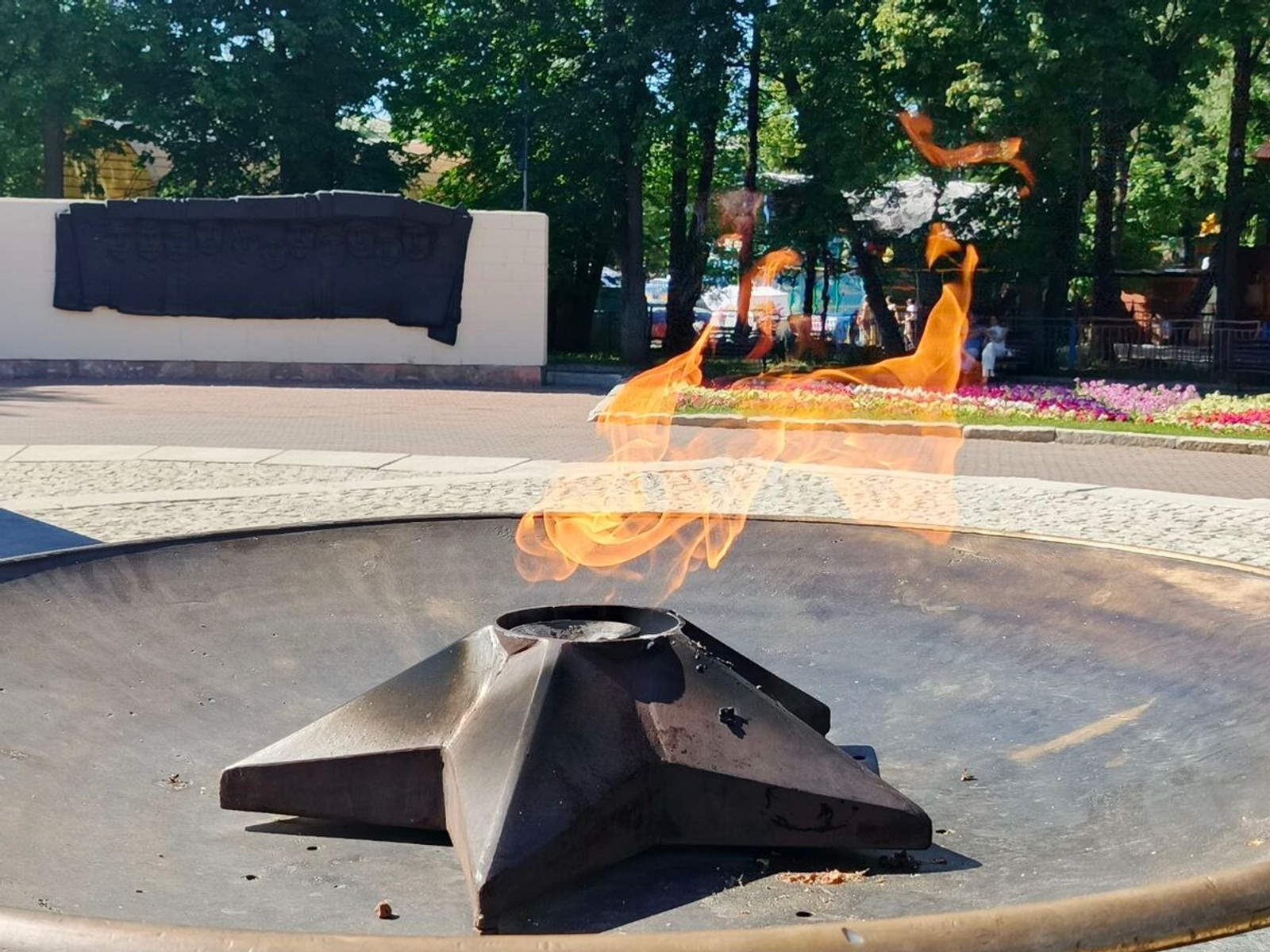 Салют пулмасть